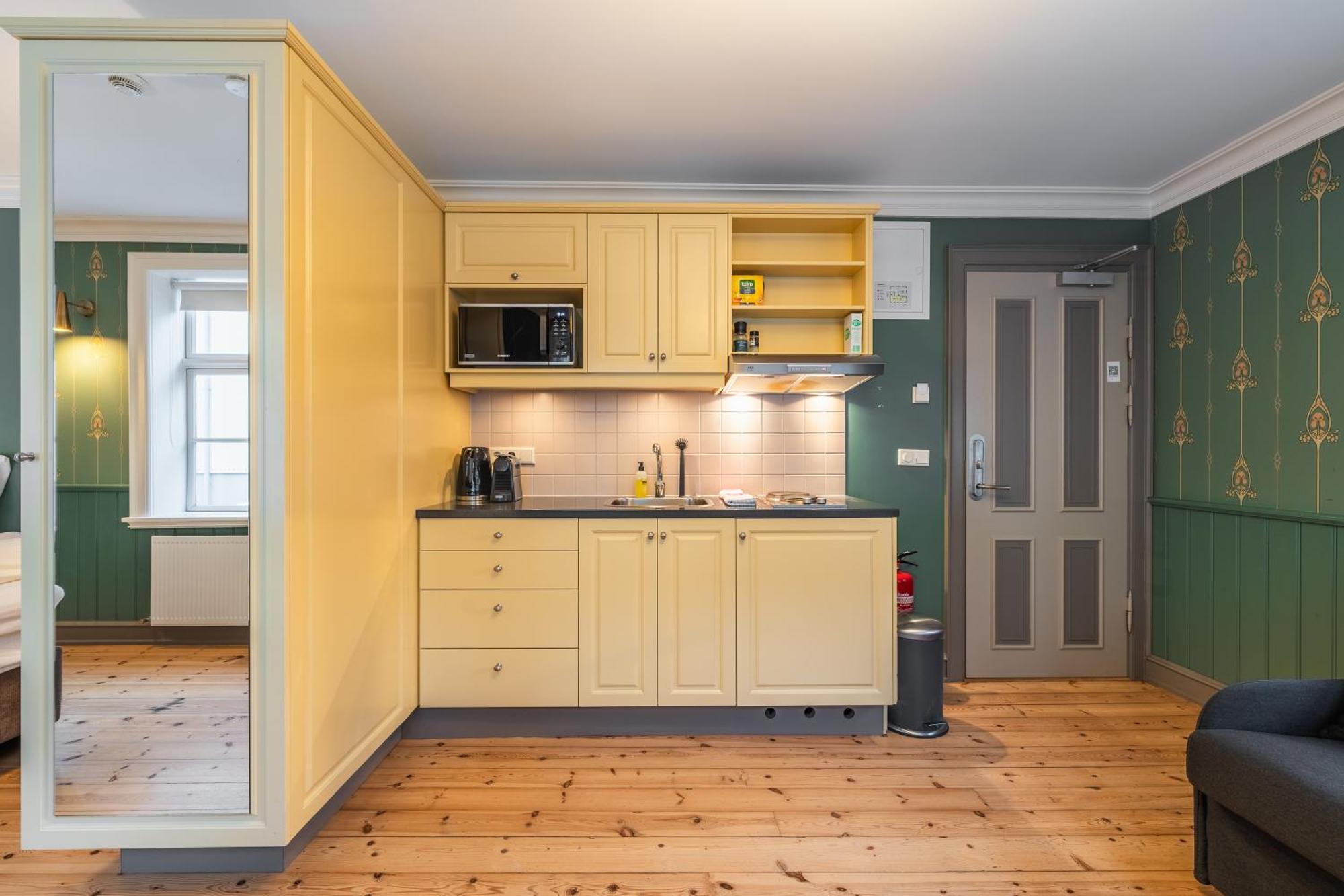 Day Dream Historical Grjotagata 4 Apartment Reykjavik Ngoại thất bức ảnh