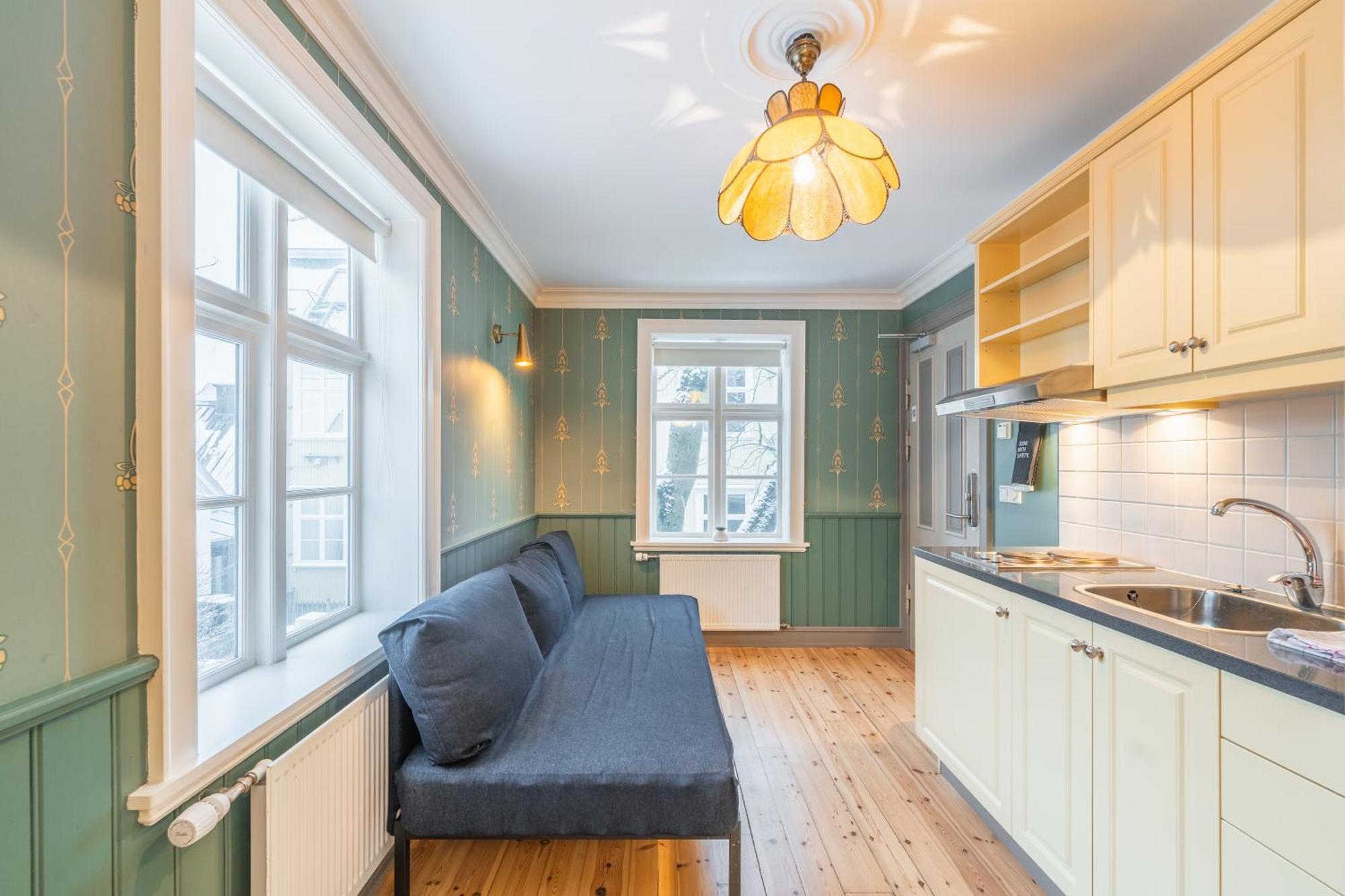 Day Dream Historical Grjotagata 4 Apartment Reykjavik Ngoại thất bức ảnh